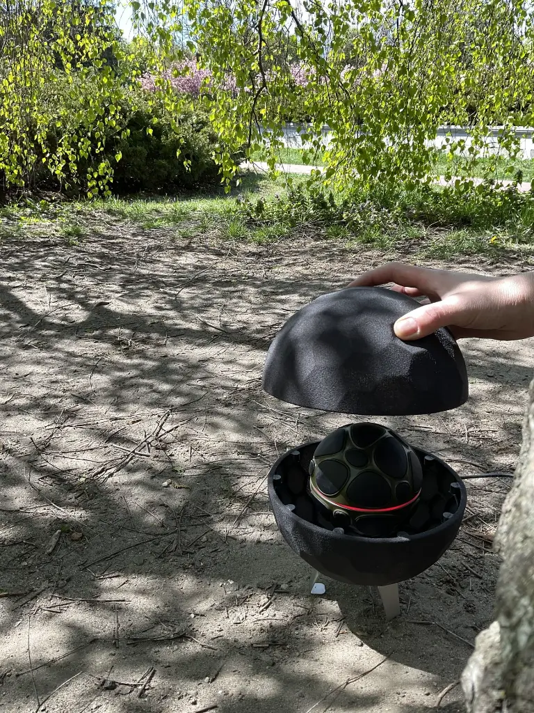 BLIMP (11).webp