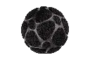 Zylia-452613.webp