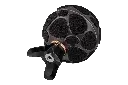 Zylia-452715.webp