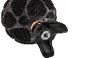Zylia-452826.webp